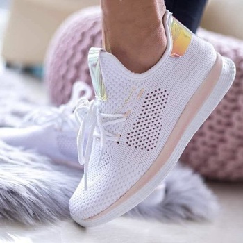 Botes