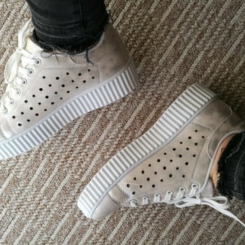 botes