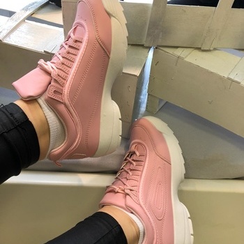 Botes