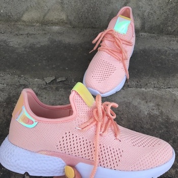 Botes