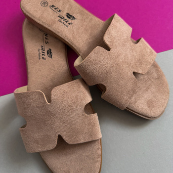 Iešļūcenes SS-199