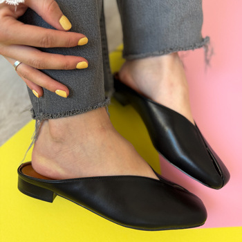 Stilīgas iešļūcenes ZZ-2